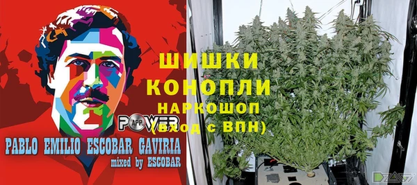 прущие грибы Алексеевка