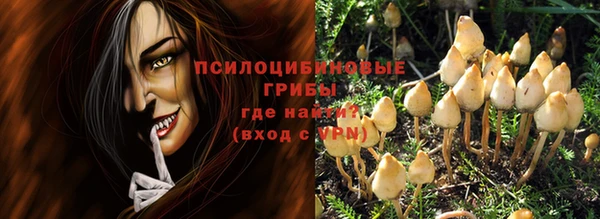 гашик Алзамай