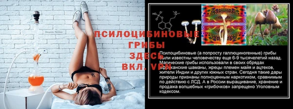 гашик Алзамай