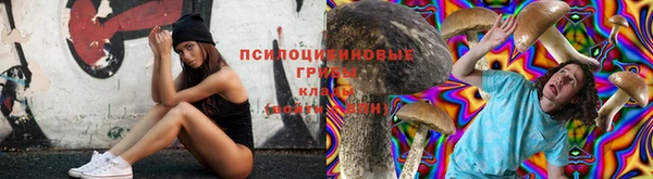 гашик Алзамай