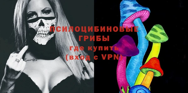 гашик Алзамай