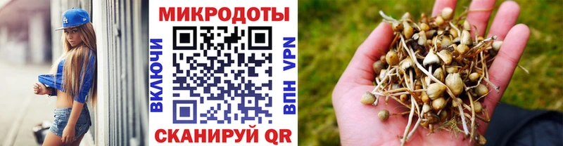 Галлюциногенные грибы ЛСД  hydra ССЫЛКА  маркетплейс какой сайт  Шумиха 